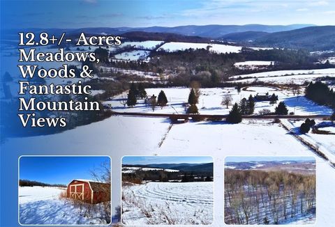 Vacant Land For Sale - LOT 41-42 Hamden Hill Road<br/> Delaware County, Hamden, NY 13782