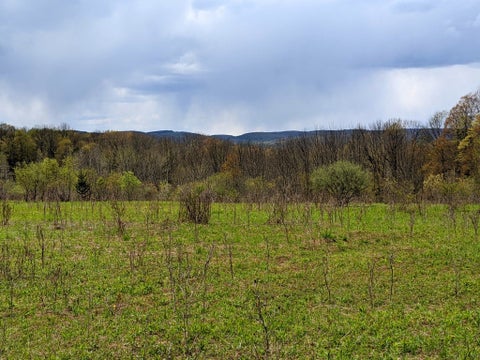 Photo for Lot #37.01 County Highway 4