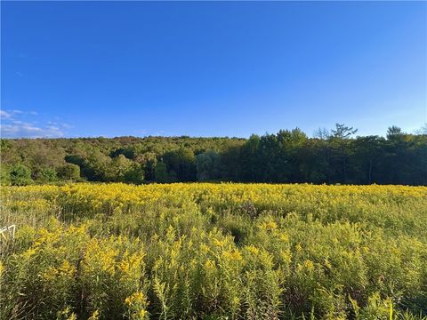 Vacant Land For Sale - Campbell Road<br/> Franklin, NY 13775