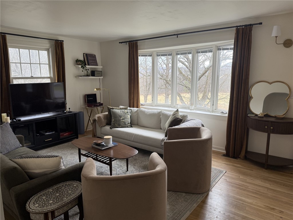 58 Mill Street, Dryden, New York image 5