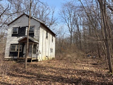 Homes For Sale - 5440 Wilkinson Road<br/> Schuyler County, Hector, NY 14841