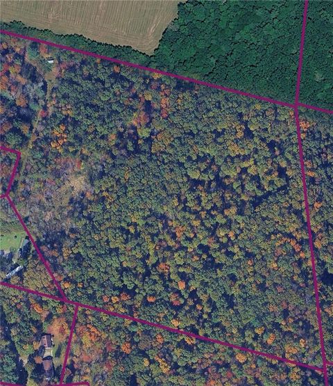 Vacant Land For Sale - 370 Ellis Creek Rd Rd<br/> Tioga County, Barton, NY 14892