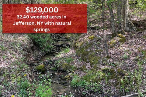 Vacant Land For Sale - 1-20 Sternberg Road<br/> Jefferson, NY 12093