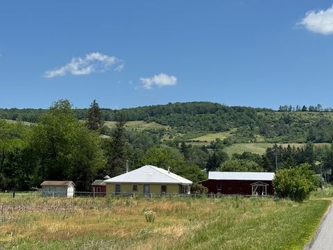 Homes For Sale - 3592 Weidrick Road<br/> Allegany County, Wellsville, NY 14895