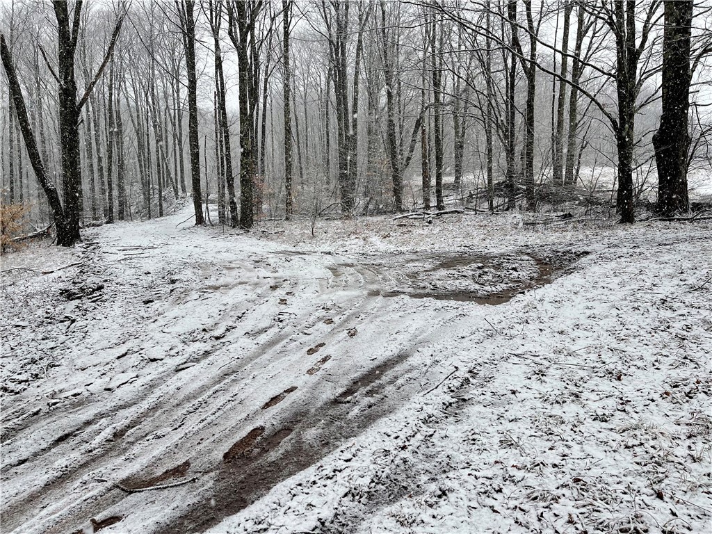 Freer Hollow Road, Franklin, New York image 10
