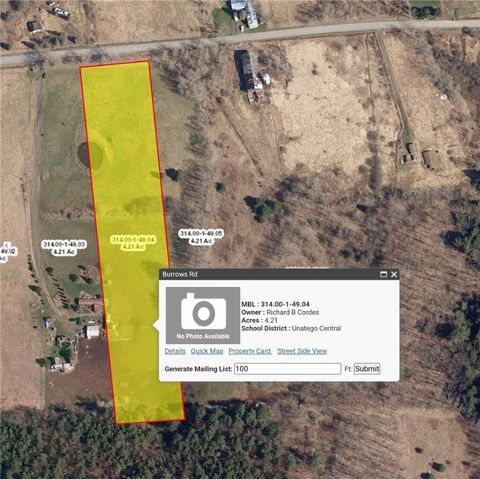 Vacant Land For Sale - Burrows Road<br/> Unadilla, NY 13849