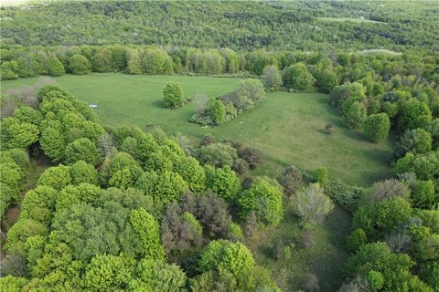 Tiny photo for 326 Park Hill Road, Erin, NY 14838 (MLS # R1655363)