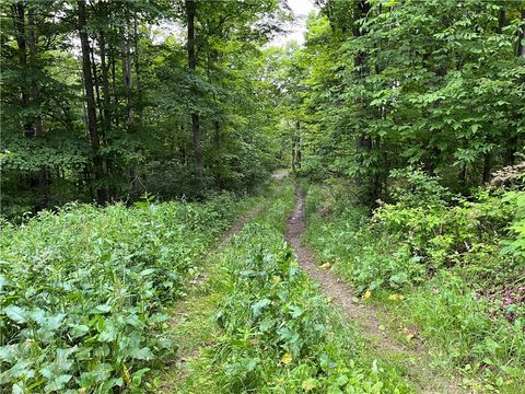 Tiny photo for 326 Park Hill Road, Erin, NY 14838 (MLS # R1655363)