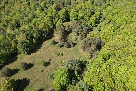 Tiny photo for 326 Park Hill Road, Erin, NY 14838 (MLS # R1655363)