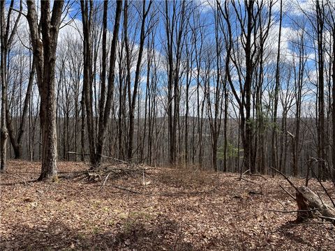 Tiny photo for 326 Park Hill Road, Erin, NY 14838 (MLS # R1655363)