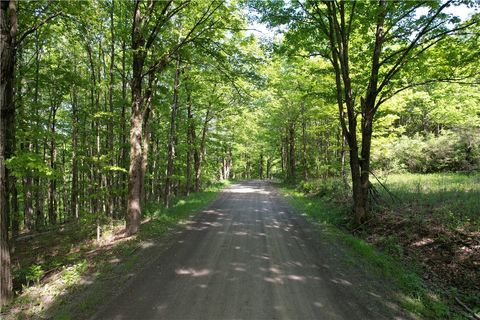 Tiny photo for 326 Park Hill Road, Erin, NY 14838 (MLS # R1655363)