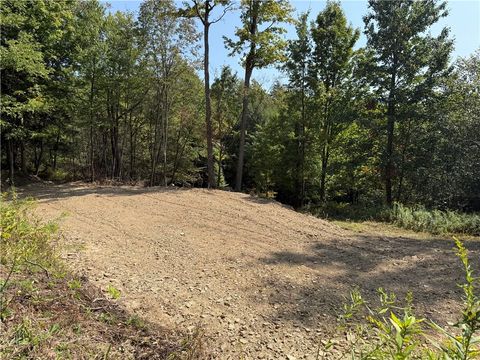 Vacant Land For Sale - Alma Hill Road<br/> Alma, NY 14895
