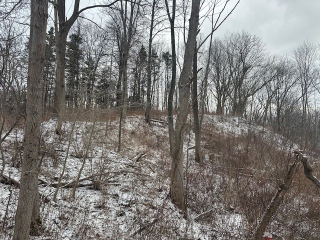 2212 ( Adjacent ) Brace Road Rd, East Bloomfield, New York image 7