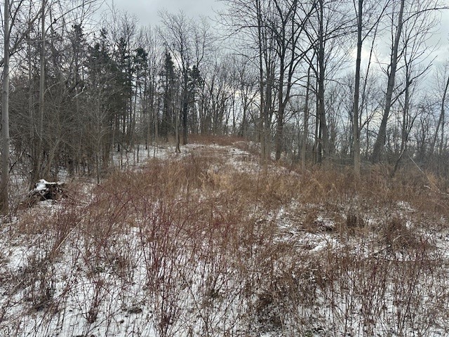 2212 ( Adjacent ) Brace Road Rd, East Bloomfield, New York image 8
