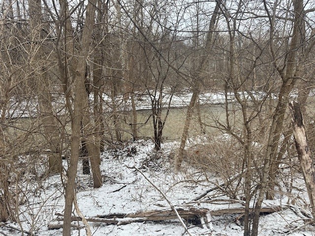 2212 ( Adjacent ) Brace Road Rd, East Bloomfield, New York image 6
