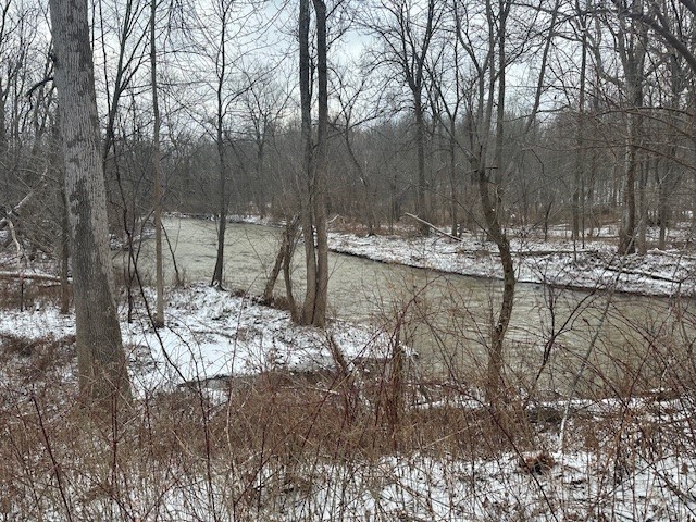 2212 ( Adjacent ) Brace Road Rd, East Bloomfield, New York image 5
