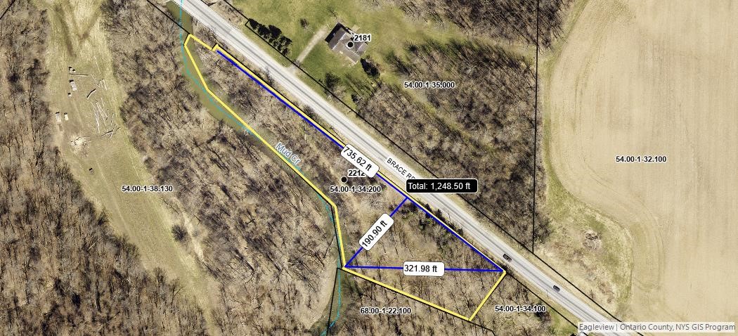 2212 ( Adjacent ) Brace Road Rd, East Bloomfield, New York image 4