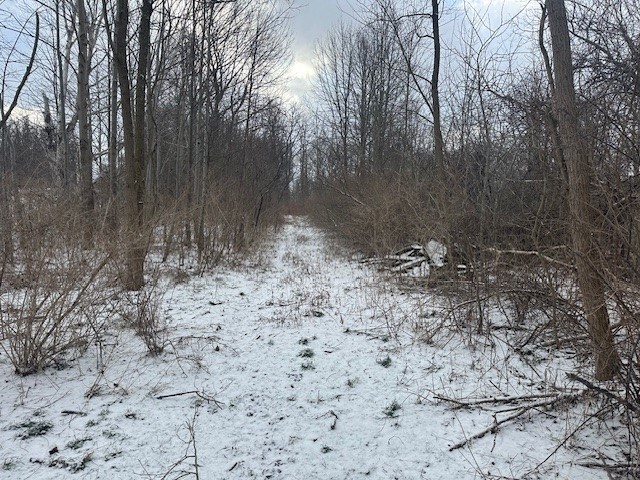 2212 ( Adjacent ) Brace Road Rd, East Bloomfield, New York image 1