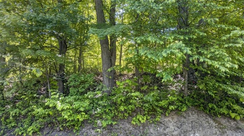 Tiny photo for L2.01 Willie Oneil Road, Cherry Valley, NY 13320 (MLS # R1689152)