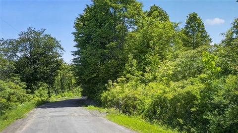 Tiny photo for L2.01 Willie Oneil Road, Cherry Valley, NY 13320 (MLS # R1689152)