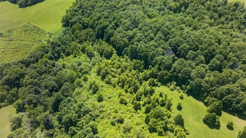 Tiny photo for L2.01 Willie Oneil Road, Cherry Valley, NY 13320 (MLS # R1689152)
