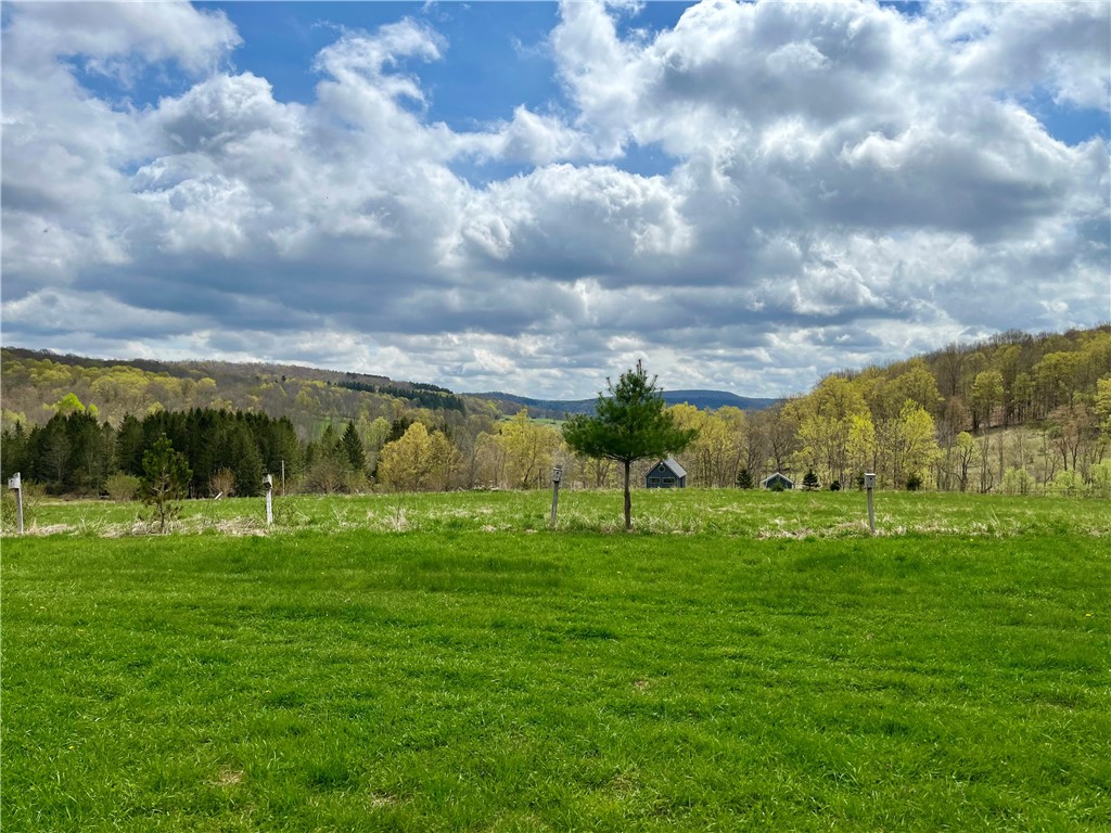 1753 Bragg Hollow Road, Middletown, New York image 3