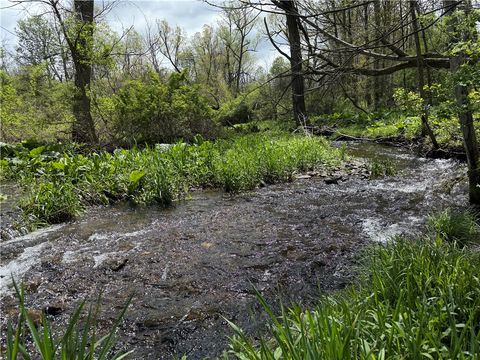 Vacant Land For Sale - Caswell Road<br/> Tompkins County, Dryden, NY 13068