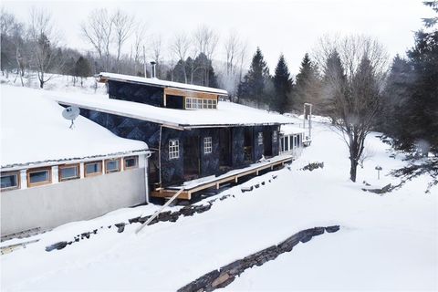 Photo of 428 Basin Clove Road, Hamden, NY 13782 (MLS # R1660300)