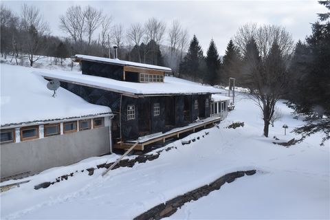Photo of 428 Basin Clove Road, Hamden, NY 13782 (MLS # R1660300)