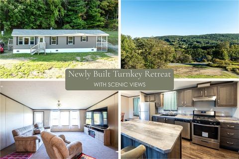 Mobile Home For Sale - 7545 Charlotte Creek Road<br/> Delaware County, Davenport, NY 13750