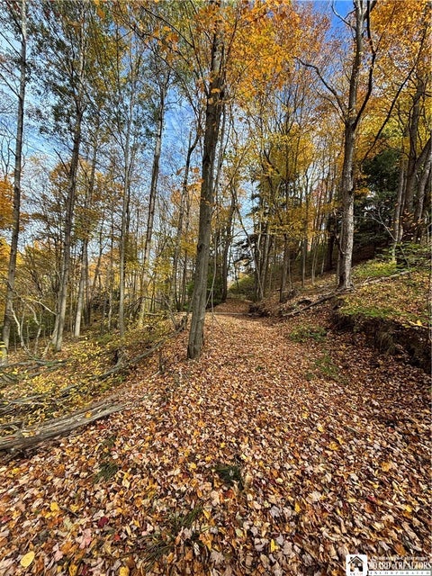 Tiny photo for Paynesville Hill Road, Independence, NY 14897 (MLS # R1724354)