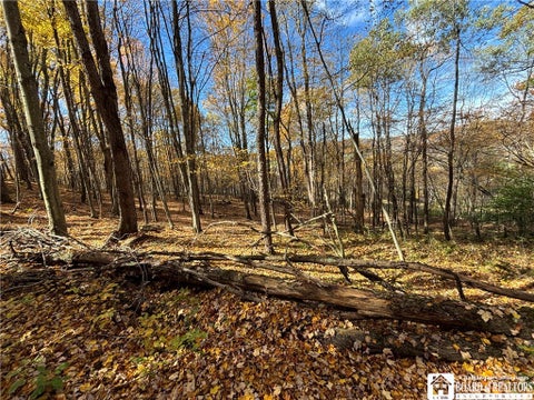 Tiny photo for Paynesville Hill Road, Independence, NY 14897 (MLS # R1724354)