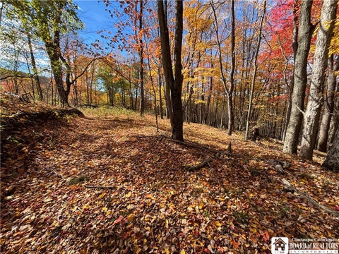 Tiny photo for Paynesville Hill Road, Independence, NY 14897 (MLS # R1724354)