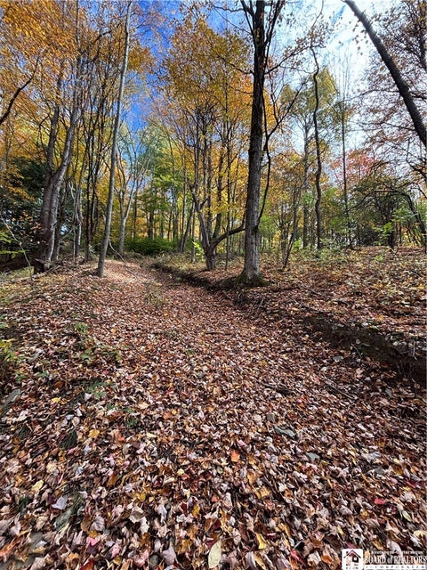 Tiny photo for Paynesville Hill Road, Independence, NY 14897 (MLS # R1724354)