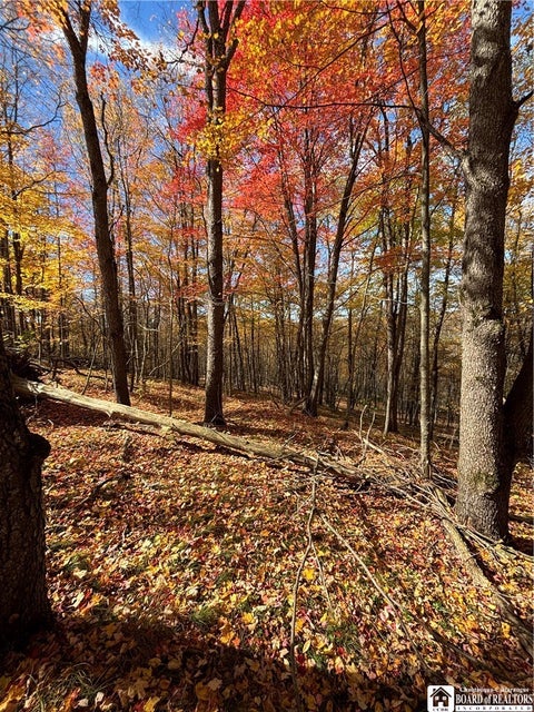 Tiny photo for Paynesville Hill Road, Independence, NY 14897 (MLS # R1724354)