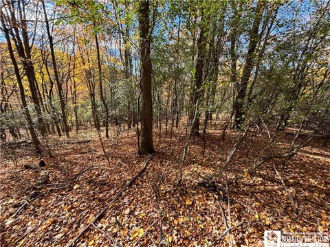 Tiny photo for Paynesville Hill Road, Independence, NY 14897 (MLS # R1724354)