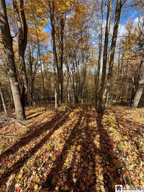 Tiny photo for Paynesville Hill Road, Independence, NY 14897 (MLS # R1724354)
