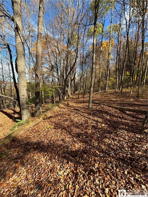 Tiny photo for Paynesville Hill Road, Independence, NY 14897 (MLS # R1724354)