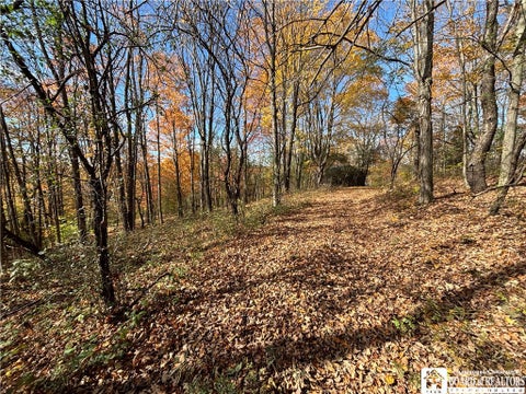 Tiny photo for Paynesville Hill Road, Independence, NY 14897 (MLS # R1724354)