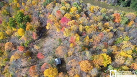 Tiny photo for Paynesville Hill Road, Independence, NY 14897 (MLS # R1724354)
