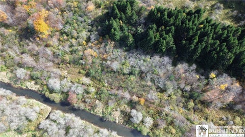 Tiny photo for Paynesville Hill Road, Independence, NY 14897 (MLS # R1724354)