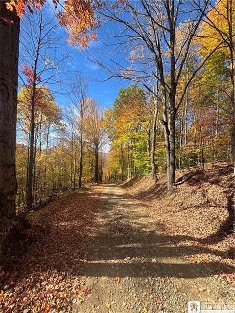 Photo of Paynesville Hill Road, Independence, NY 14897 (MLS # R1724354)