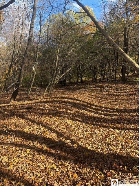 Tiny photo for Paynesville Hill Road, Independence, NY 14897 (MLS # R1724354)