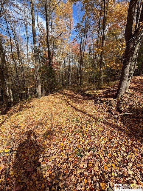 Tiny photo for Paynesville Hill Road, Independence, NY 14897 (MLS # R1724354)