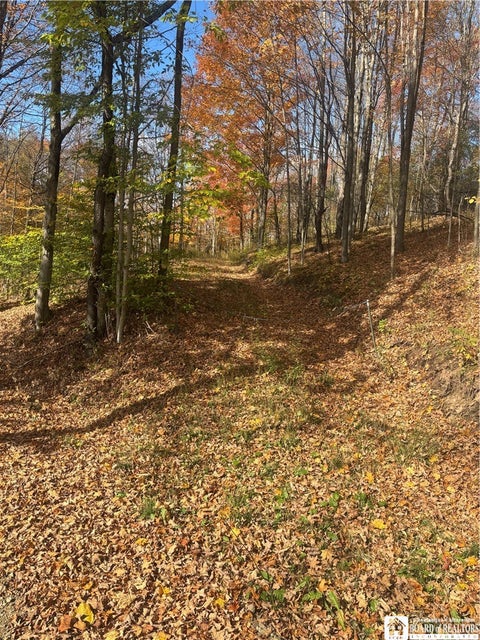 Tiny photo for Paynesville Hill Road, Independence, NY 14897 (MLS # R1724354)