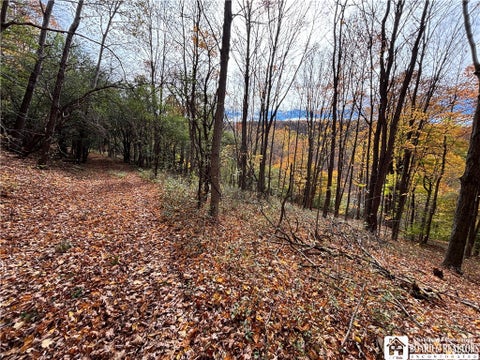 Tiny photo for Paynesville Hill Road, Independence, NY 14897 (MLS # R1724354)
