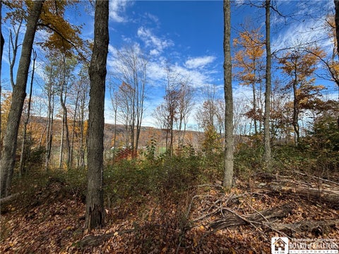 Tiny photo for Paynesville Hill Road, Independence, NY 14897 (MLS # R1724354)