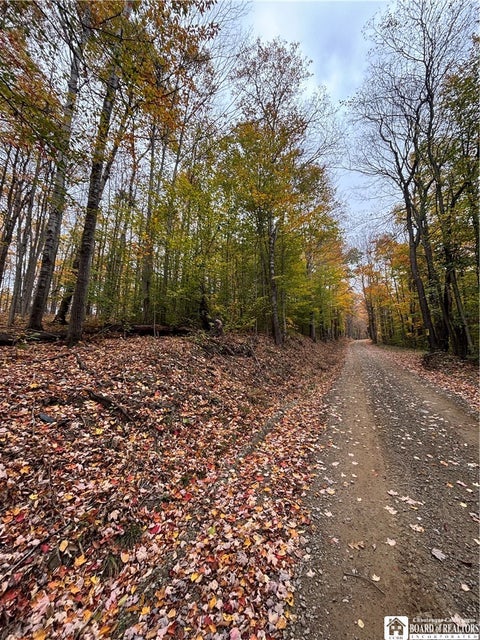 Tiny photo for Paynesville Hill Road, Independence, NY 14897 (MLS # R1724354)