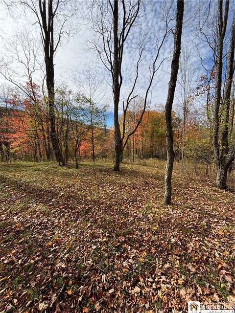Tiny photo for Paynesville Hill Road, Independence, NY 14897 (MLS # R1724354)