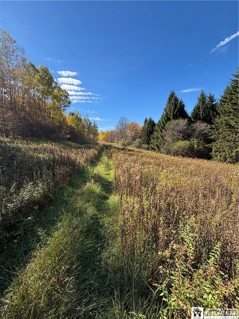 Tiny photo for Paynesville Hill Road, Independence, NY 14897 (MLS # R1724354)